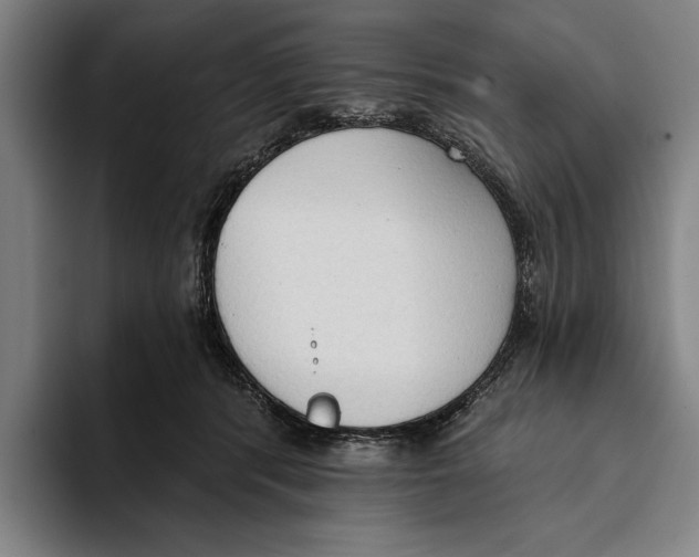 X0000093380416200711081549