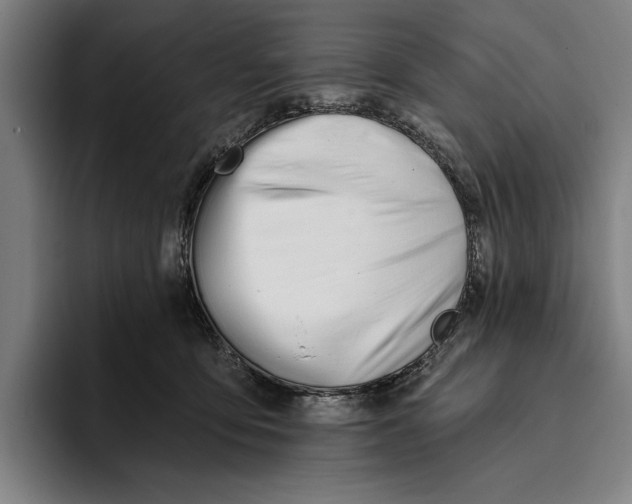 X0000093380419200711081549