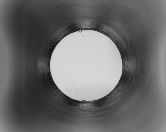 X0000093380422200711081549