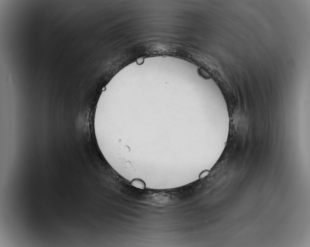 X0000093380423200711081549