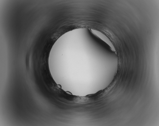 X0000093380429200711081549