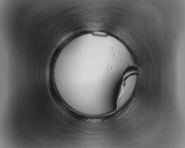 X0000093380440200711081548