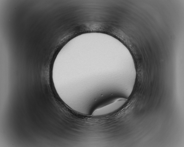 X0000093380442200711081548