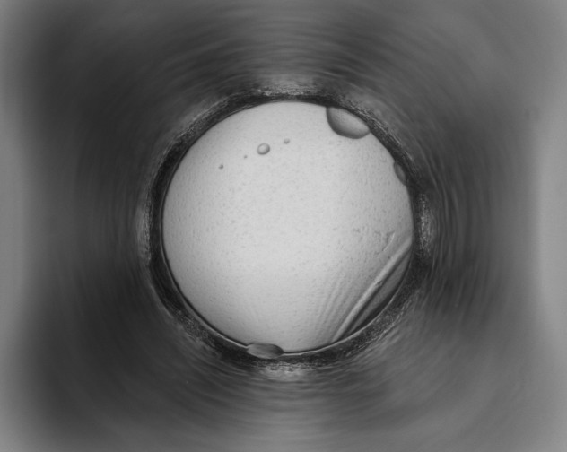 X0000093380444200711081548