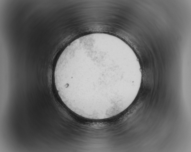 X0000093380445200711081548