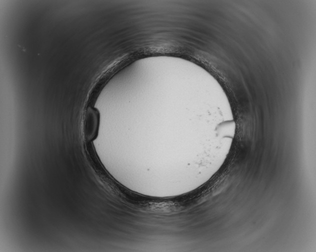 X0000093380446200711081548