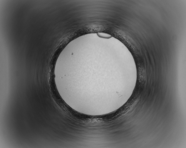 X0000093380451200711081548