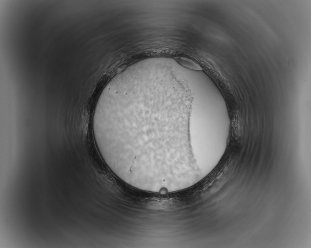 X0000093380458200711081548