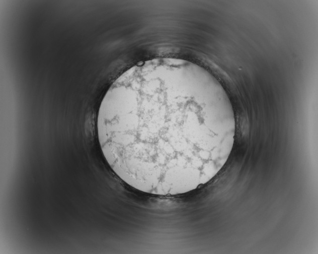 X0000093380475200711081548