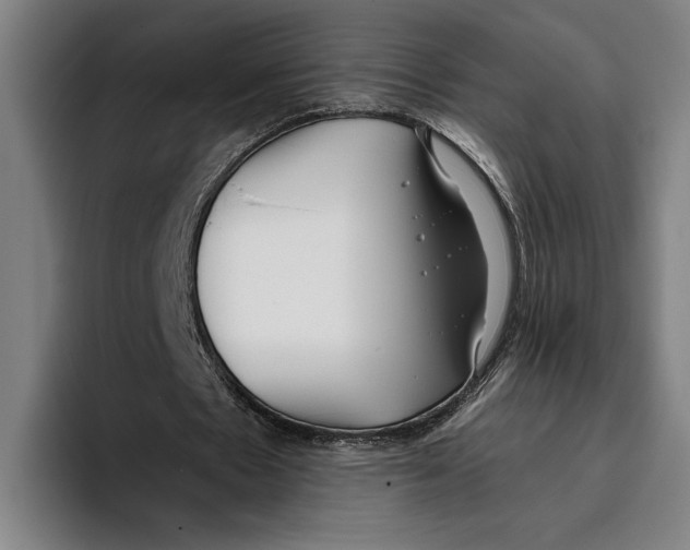 X0000093380481200711081548