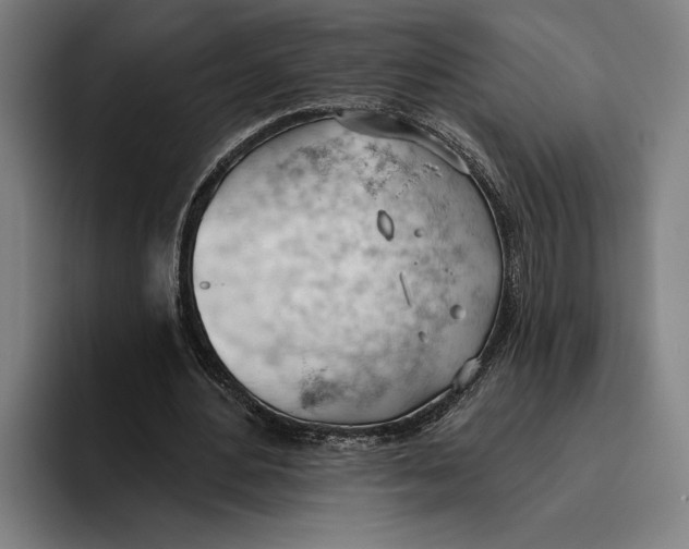 X0000093380484200711081548