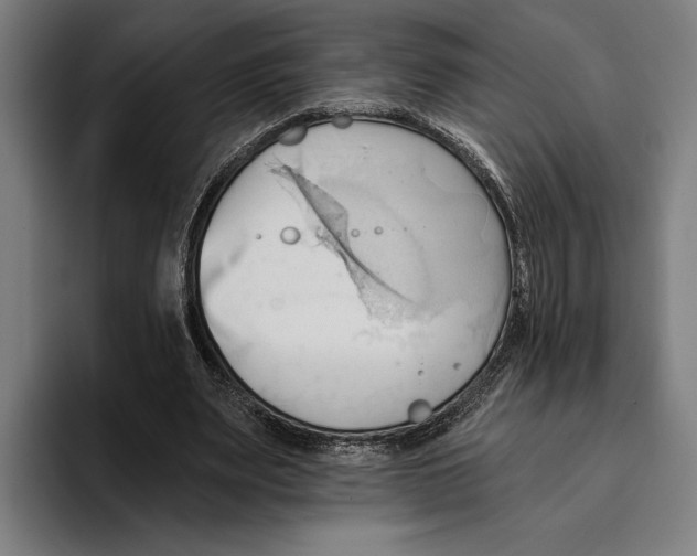 X0000093380487200711081548