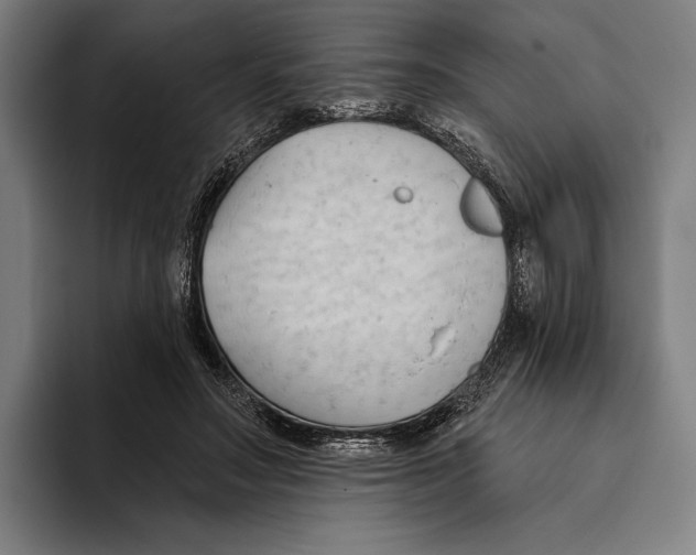 X0000093380499200711081548