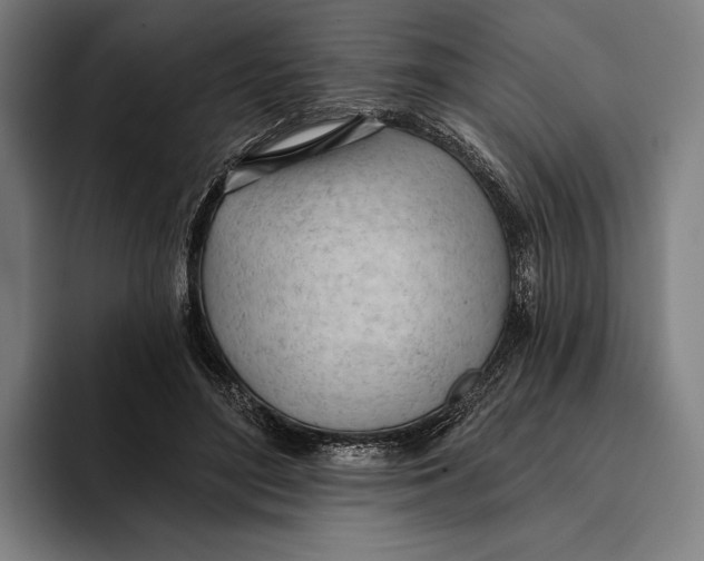 X0000093380500200711081548