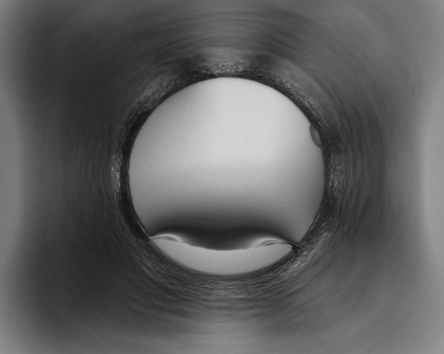 X0000093380501200711081548