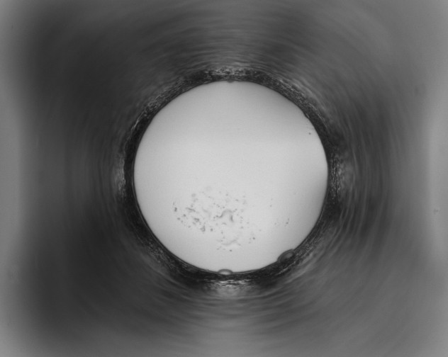 X0000093380508200711081548