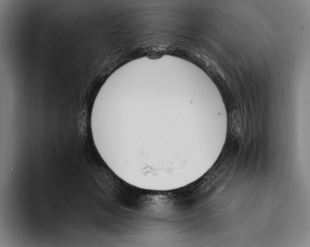 X0000093380509200711081547