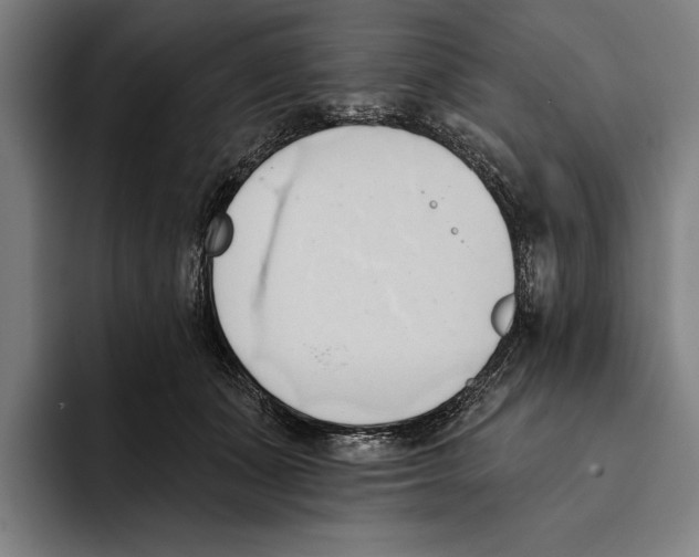 X0000093380511200711081547