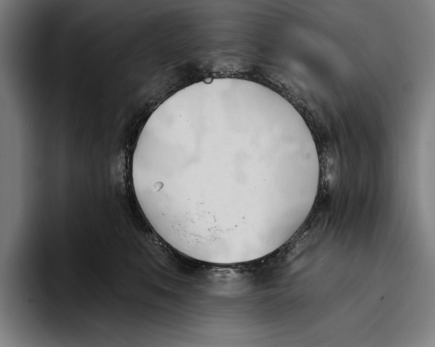 X0000093380519200711081547