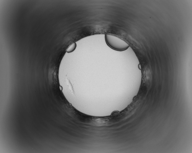 X0000093380522200711081547