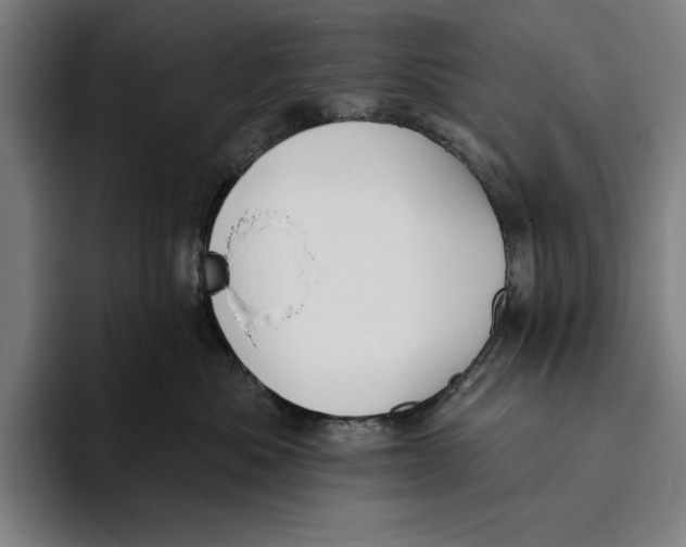 X0000093380525200711081547