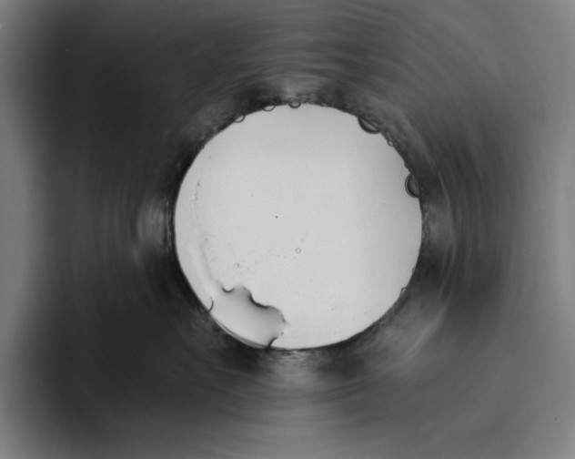 X0000093380527200711081547