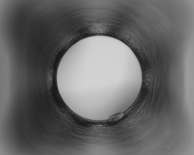 X0000093380544200711081547