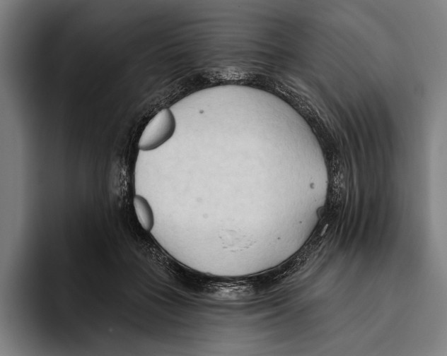 X0000093380555200711081547