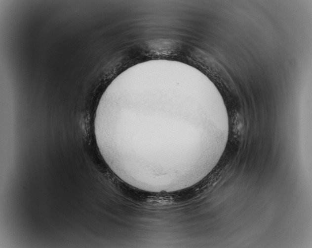 X0000093380559200711081547