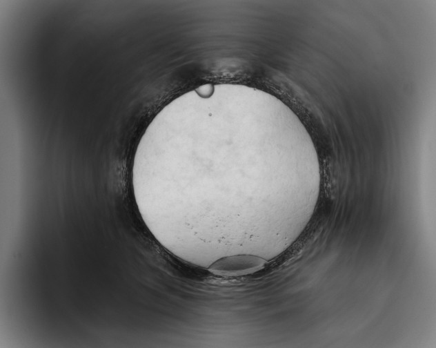 X0000093380563200711081547