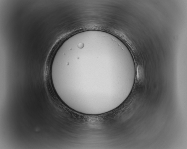 X0000093380579200711081547