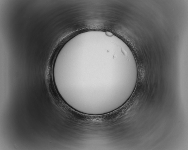 X0000093380583200711081547