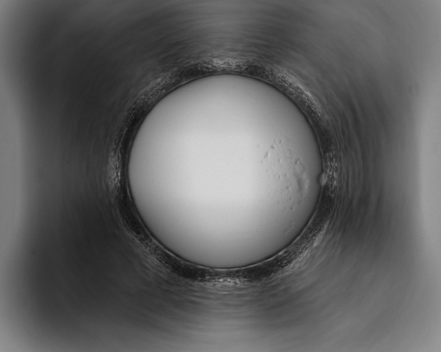 X0000093380593200711081546