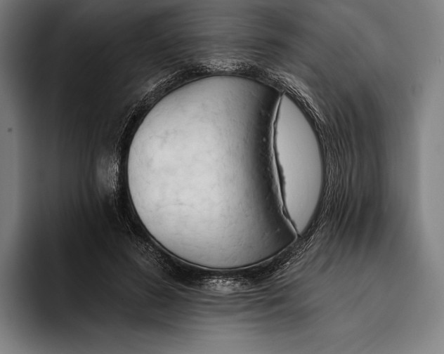 X0000093380596200711081546