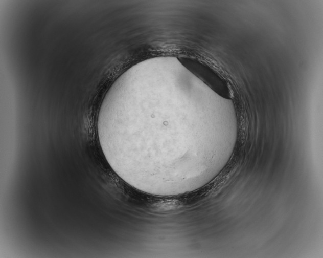 X0000093380609200711081546