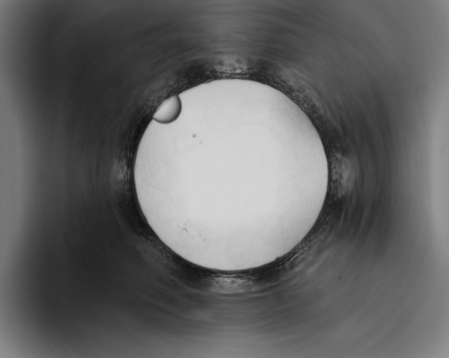 X0000093380614200711081546