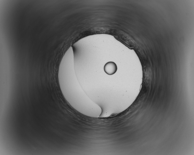 X0000093380617200711081546