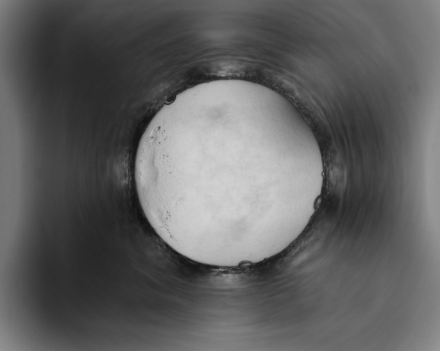 X0000093380620200711081546