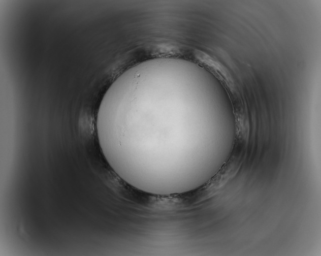 X0000093380621200711081546