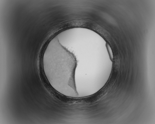 X0000093380626200711081545