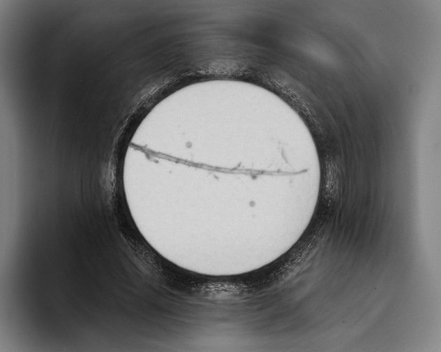 X0000093380636200711081546