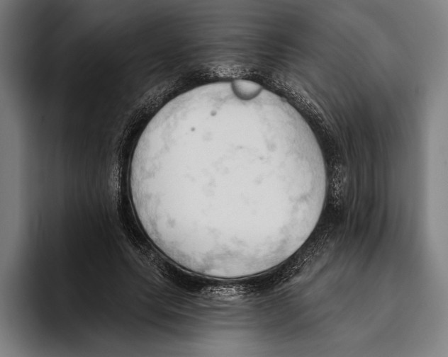 X0000093380639200711081546