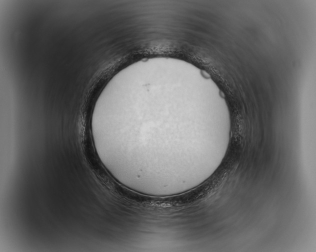 X0000093380640200711081546