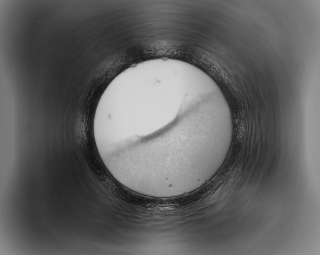 X0000093380643200711081546