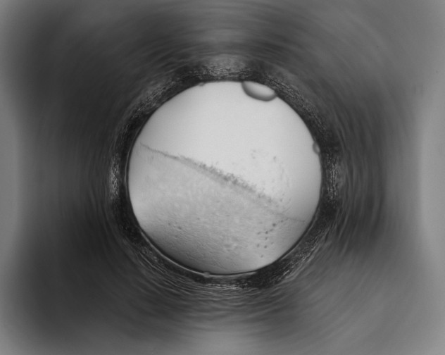 X0000093380644200711081546