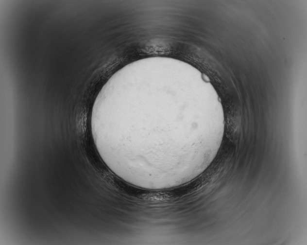 X0000093380652200711081546