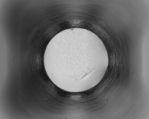 X0000093380653200711081546