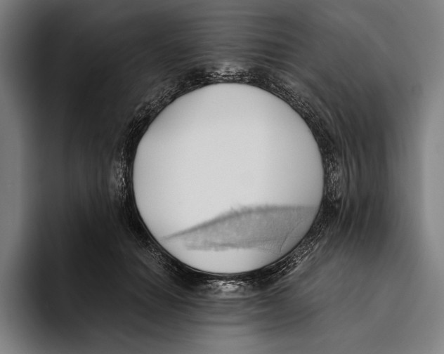 X0000093380654200711081546