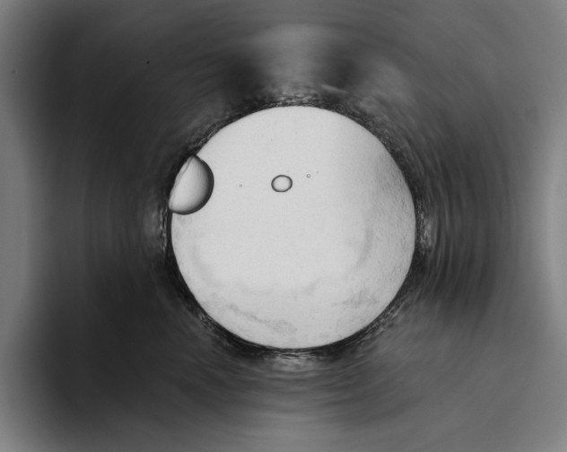 X0000093380666200711081546