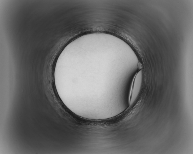 X0000093380673200711081545